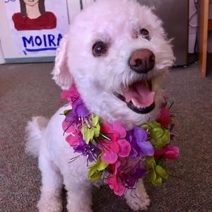 ♥️ BACK IN STORE ♥️